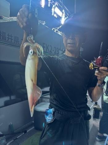 マイカ(ケンサキイカ)