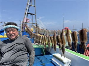 スルメ(スルメイカ)