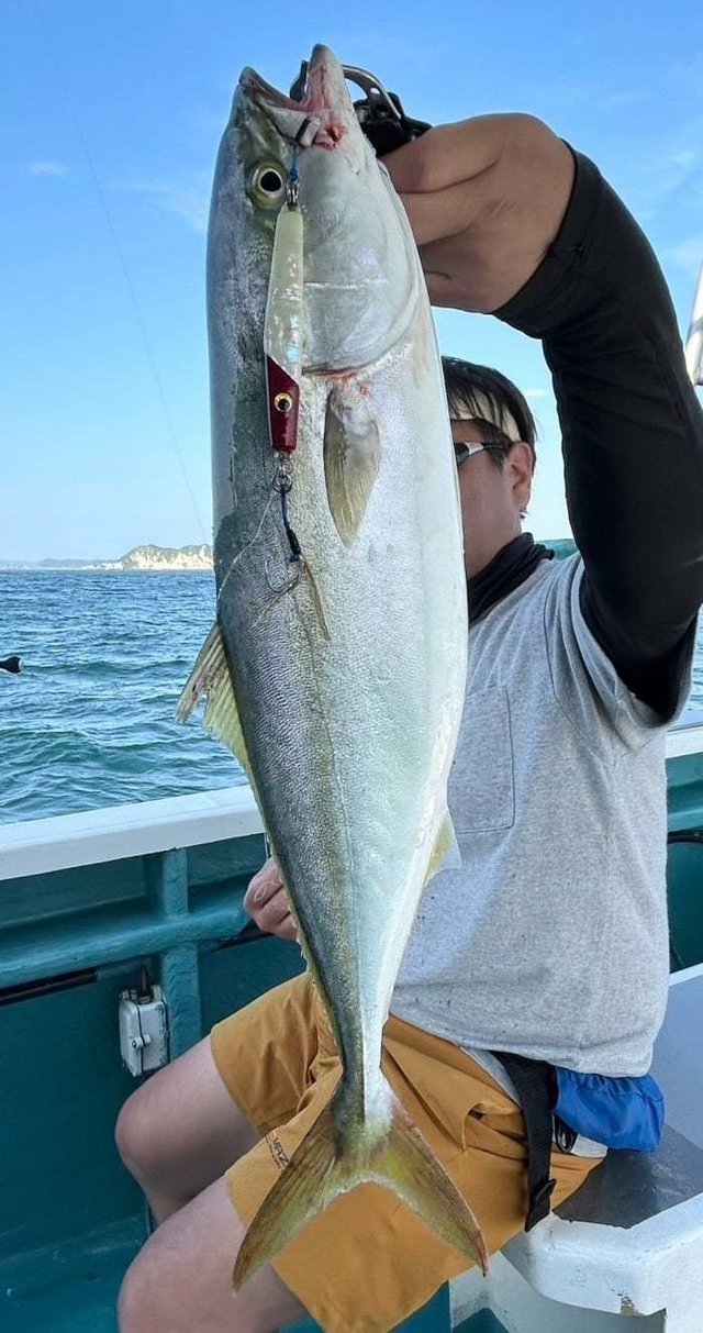 サンパク(ブリ)