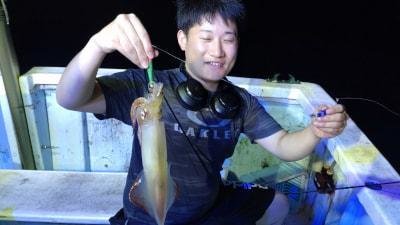 マイカ(ケンサキイカ)