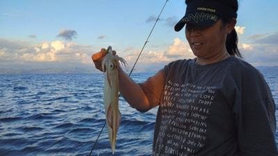 マイカ(ケンサキイカ)