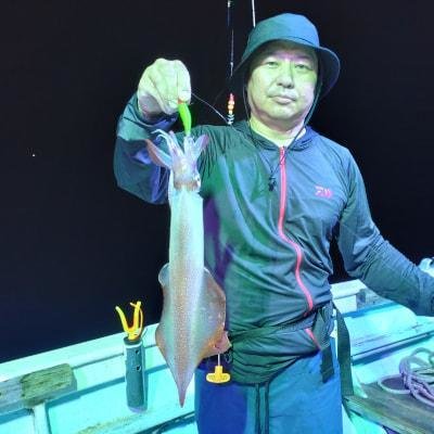 マイカ(ケンサキイカ)