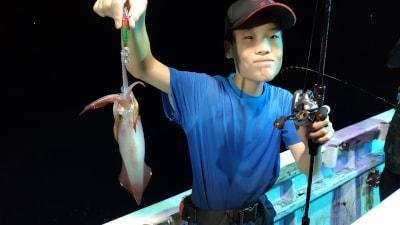 マイカ(ケンサキイカ)