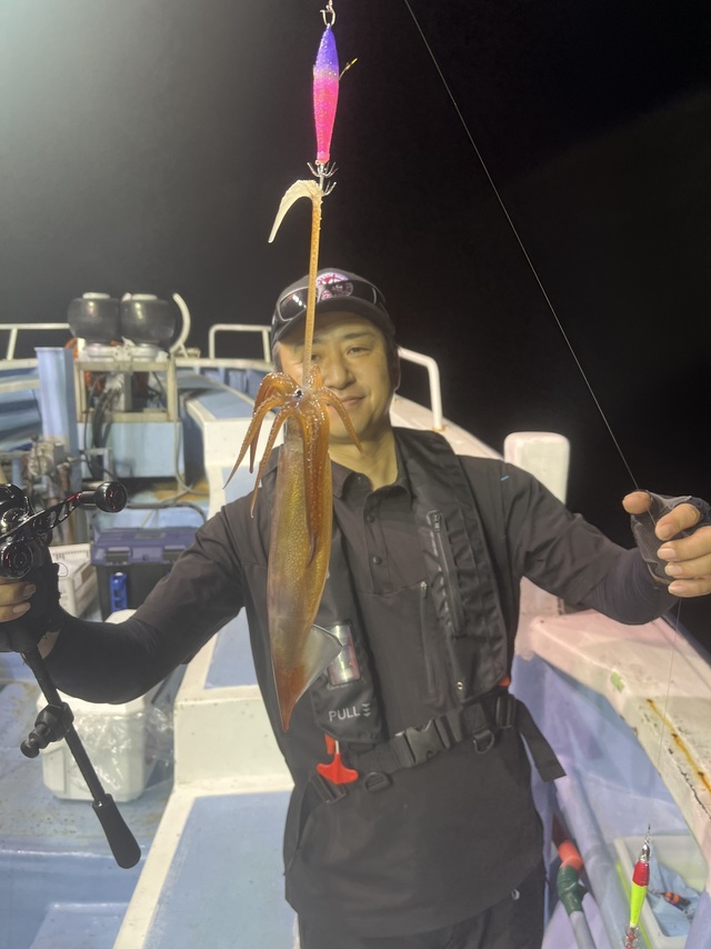 ムギイカ(スルメイカ)