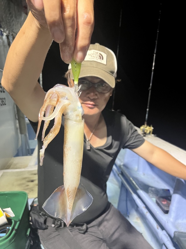 ムギイカ(スルメイカ)