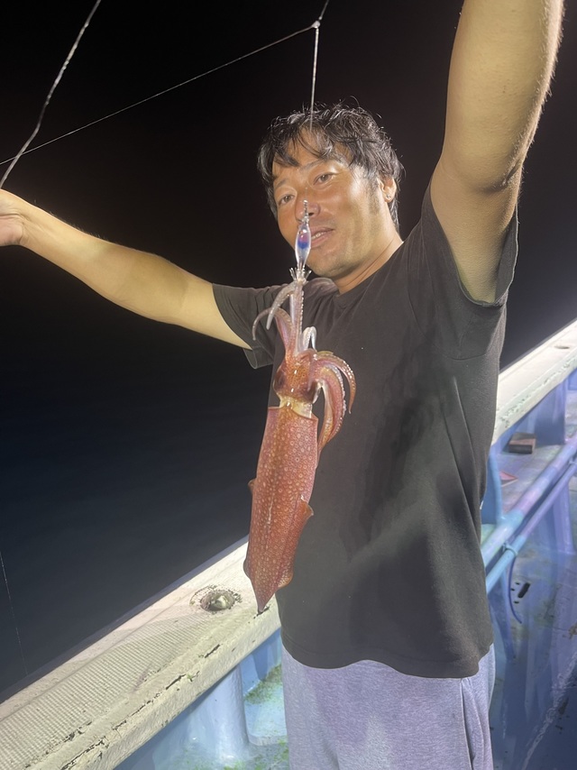 ムギイカ(スルメイカ)