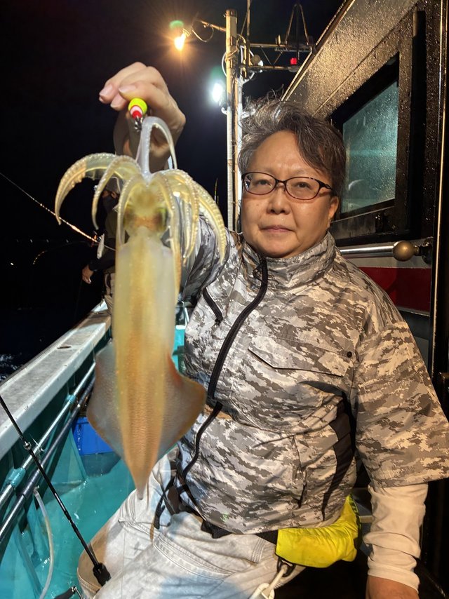 アカイカ(ケンサキイカ)