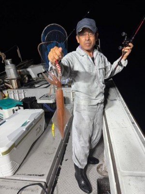 アカイカ(ケンサキイカ)