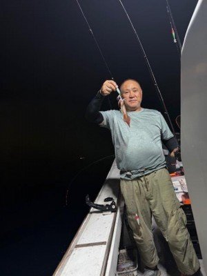 アカイカ(ケンサキイカ)