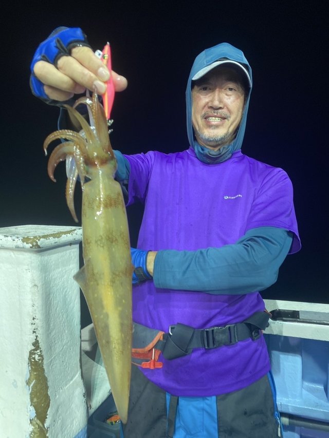 マルイカ(ケンサキイカ)