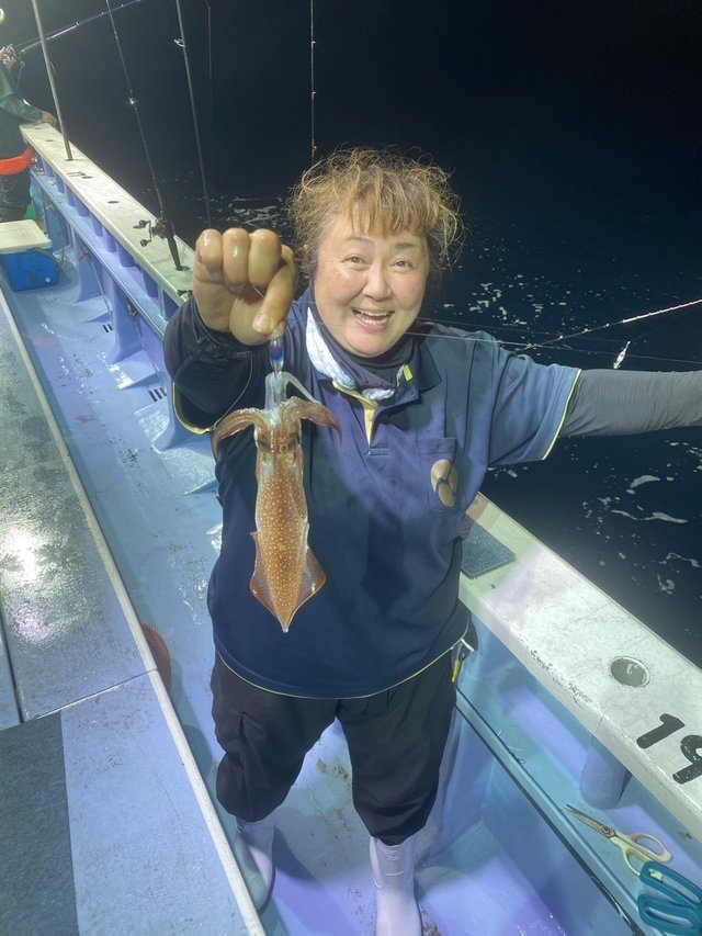 マルイカ(ケンサキイカ)