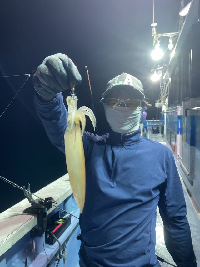 マルイカ(ケンサキイカ)