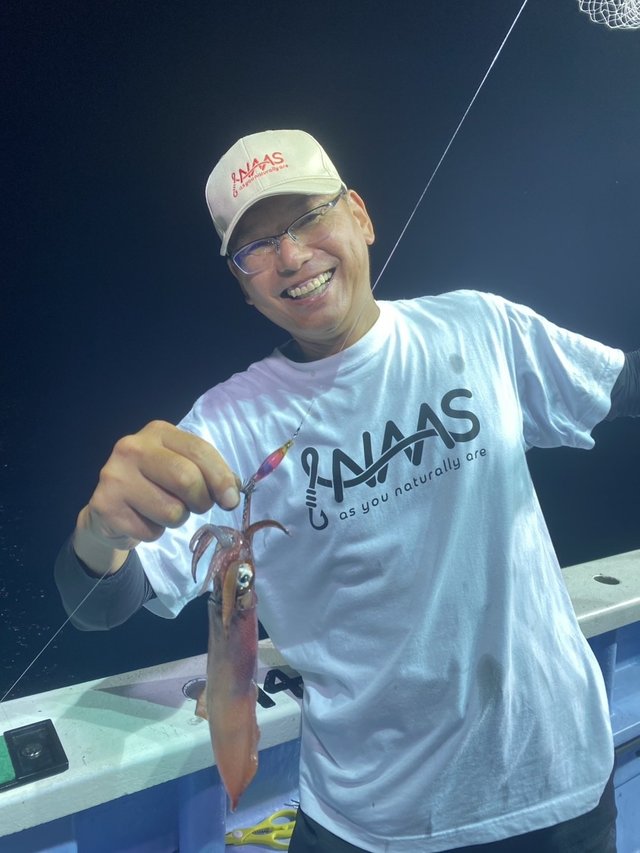 マルイカ(ケンサキイカ)