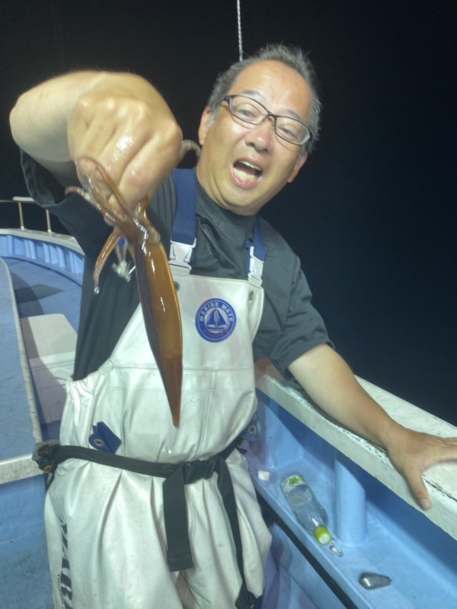 マルイカ(ケンサキイカ)