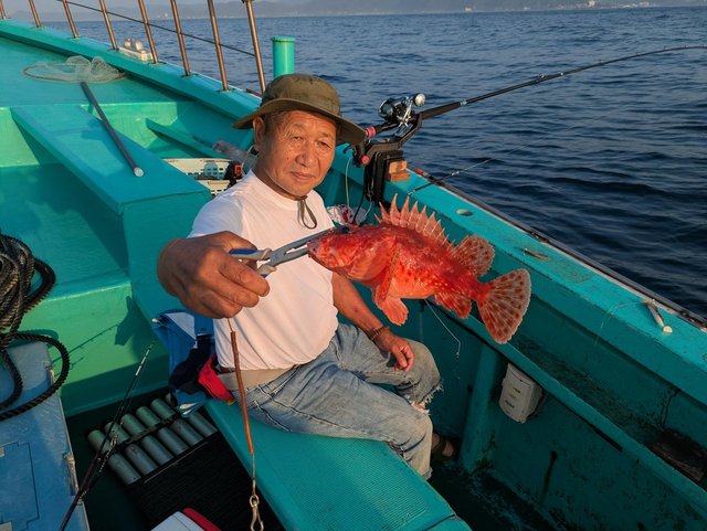 オニカサゴ(イズカサゴ)