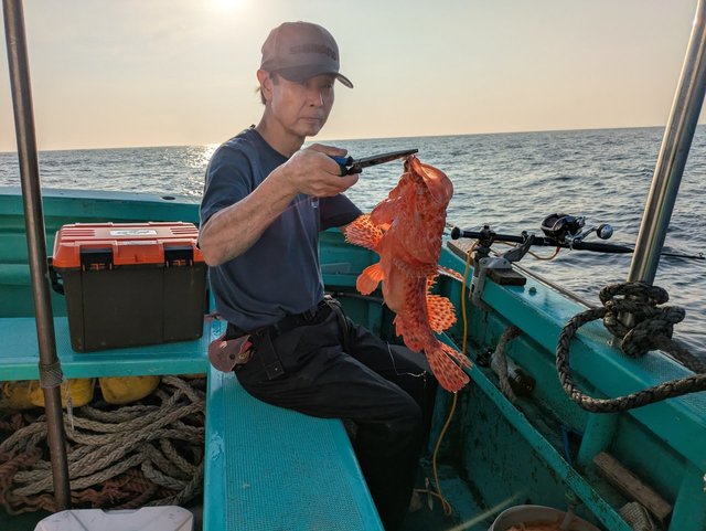 オニカサゴ(イズカサゴ)