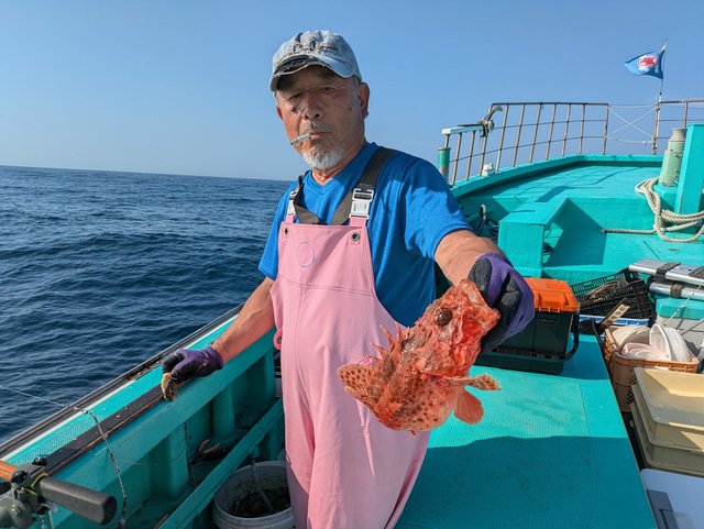 オニカサゴ(イズカサゴ)