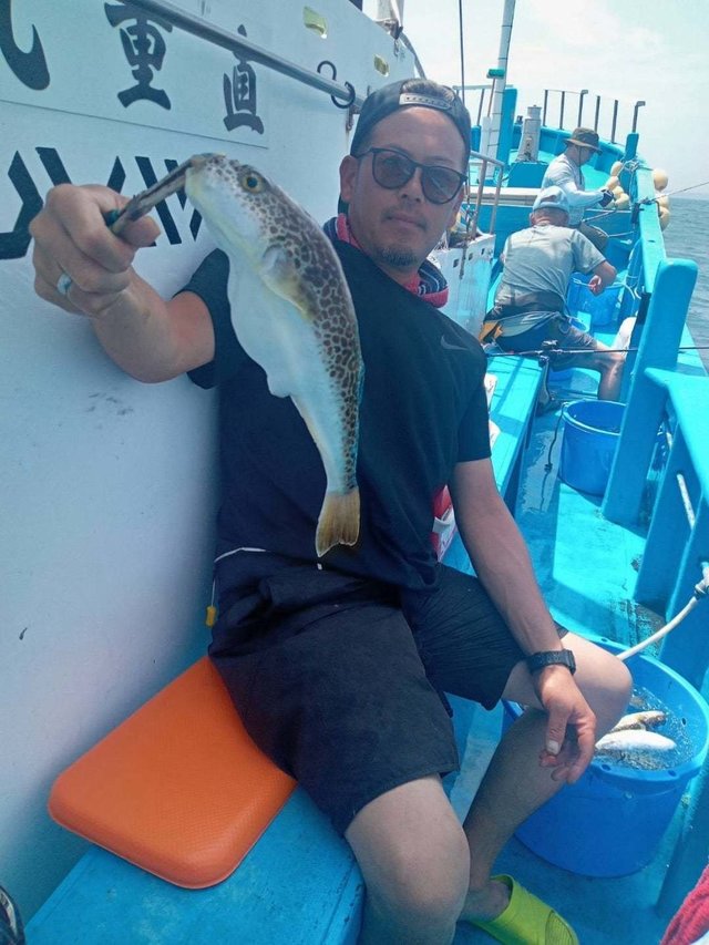 ショウサイフク(ショウサイフグ)