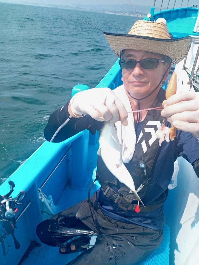 ショウサイフク(ショウサイフグ)