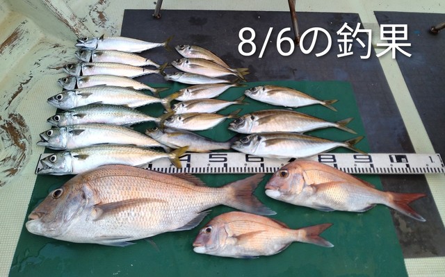 マダイ・マアジ・イサキ・マサバ