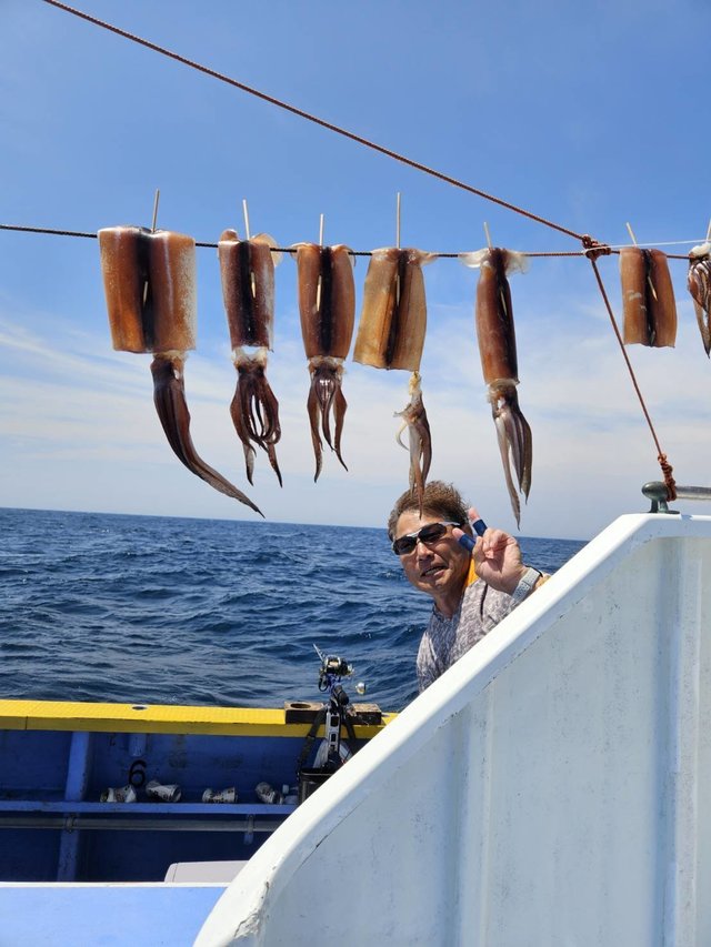 スルメ(スルメイカ)