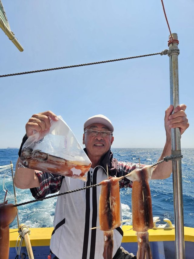 スルメ(スルメイカ)