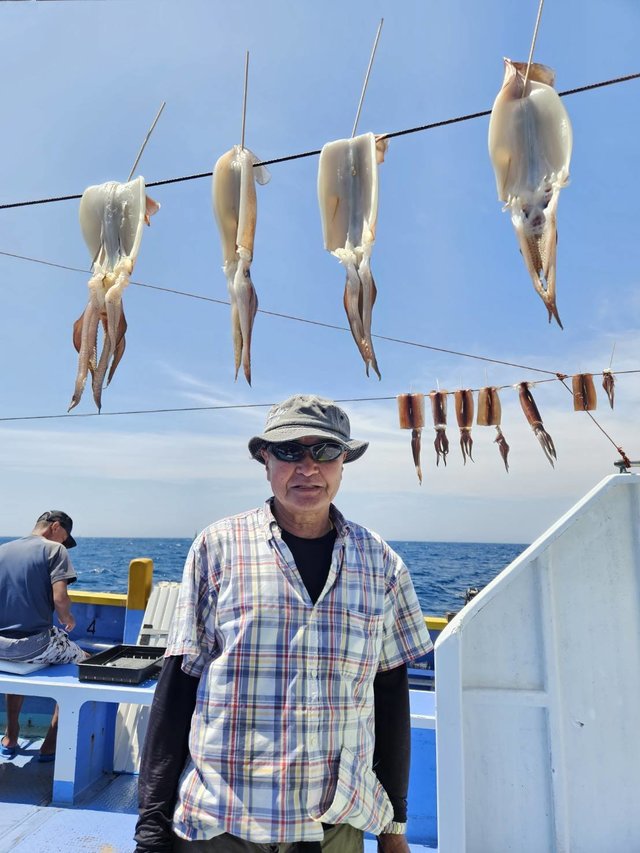 スルメ(スルメイカ)