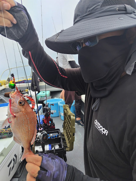 チャリコ(マダイ)