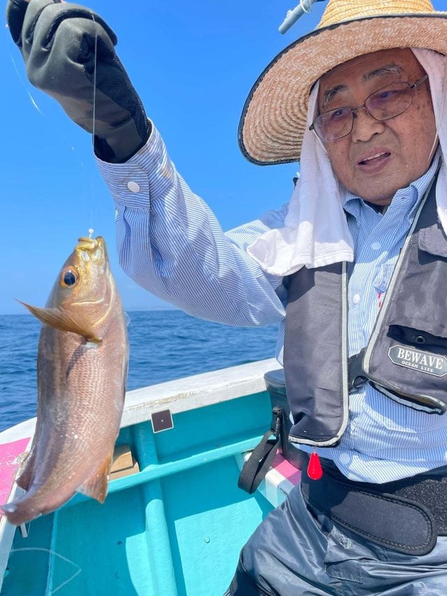 イサギ(イサキ)