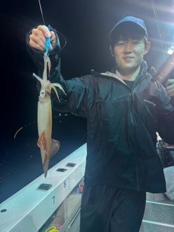 マイカ(ケンサキイカ)