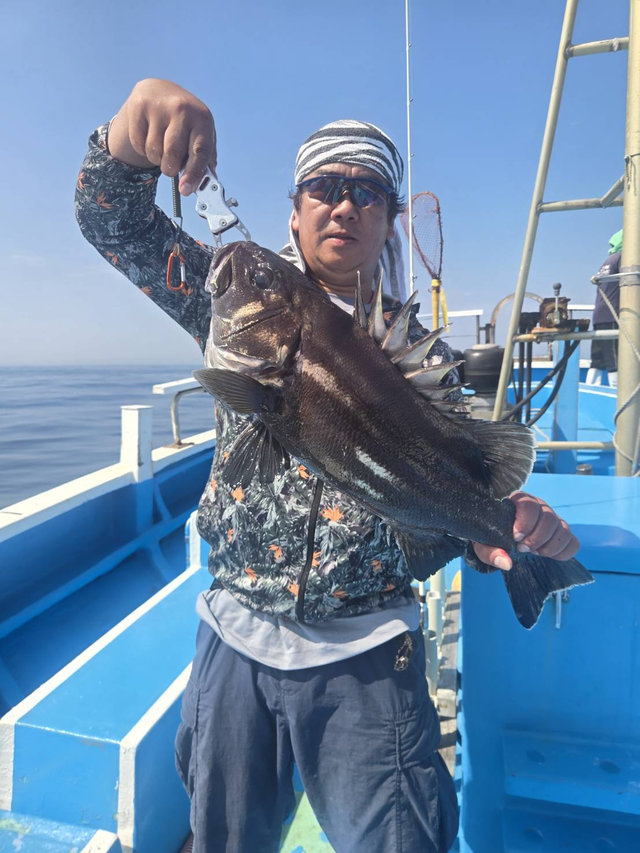 イシナギ(オオクチイシナギ)