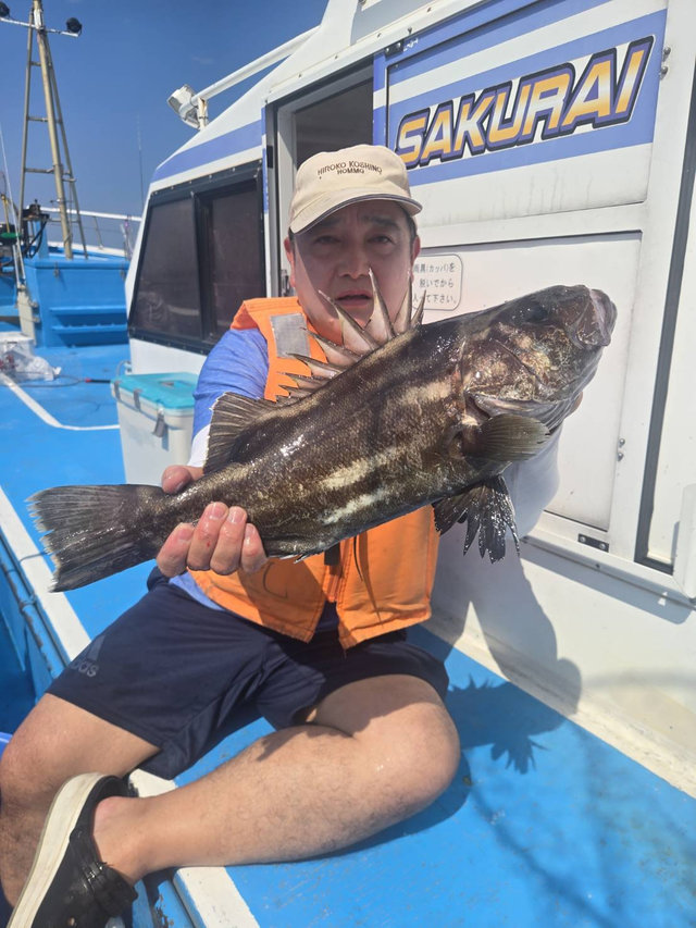 イシナギ(オオクチイシナギ)