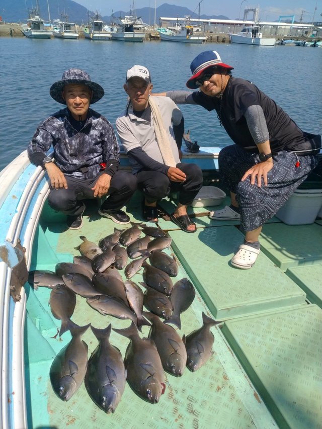 オナガクロ(クロメジナ)