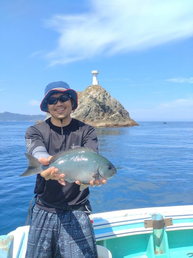 オナガクロ(クロメジナ)