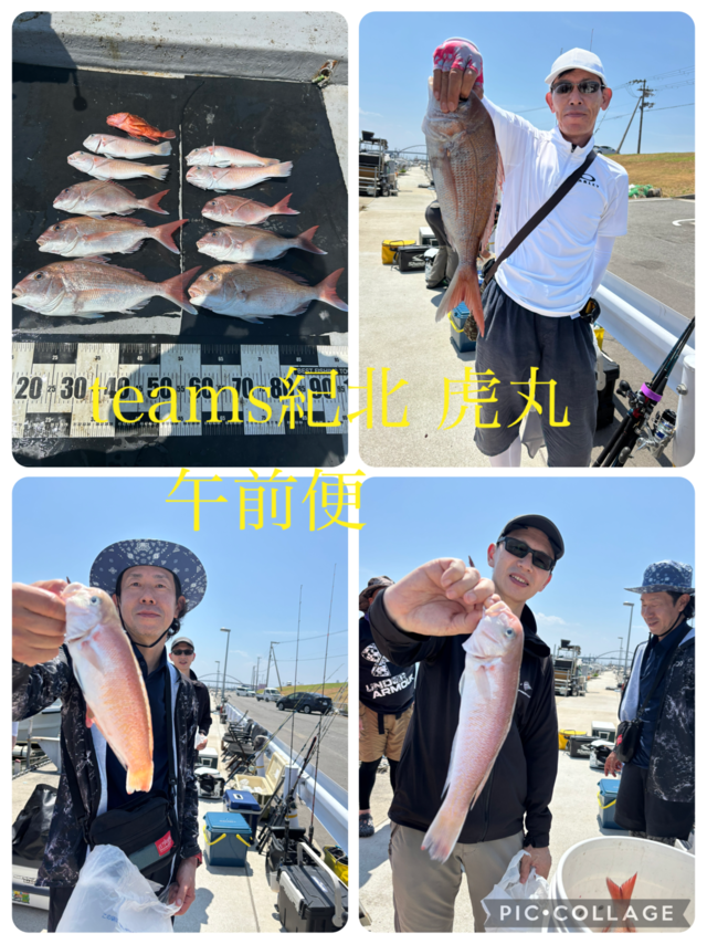 タイ(マダイ)・シロアマダイ・ガシラ(カサゴ)