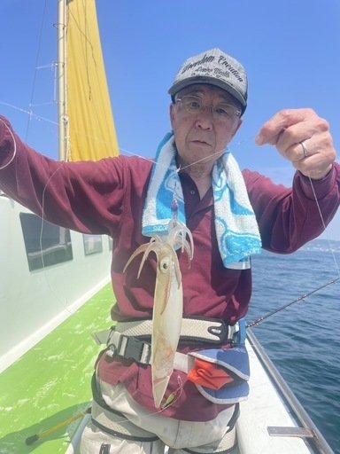 マルイカ(ケンサキイカ)