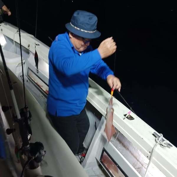 イカ(ケンサキイカ)