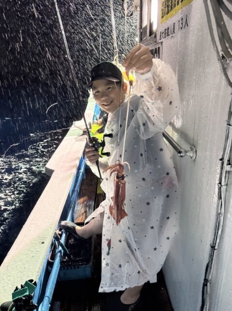 マイカ(ケンサキイカ)