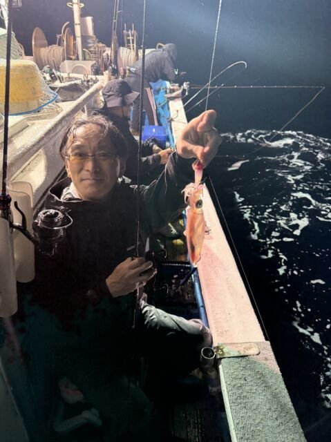 マイカ(ケンサキイカ)