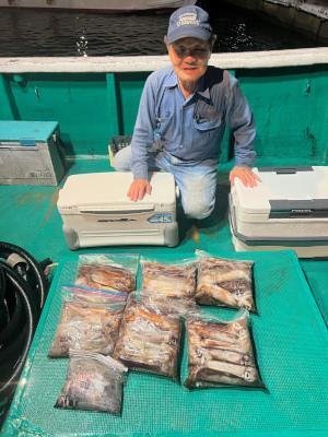 アカイカ(ケンサキイカ)