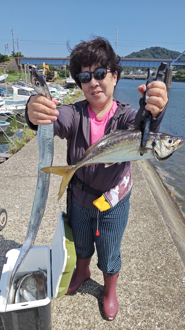 アジ(マアジ)・タチウオ