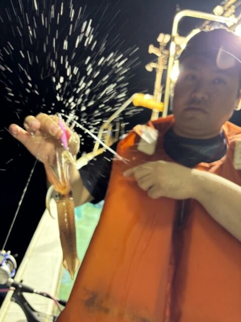 マイカ(ケンサキイカ)