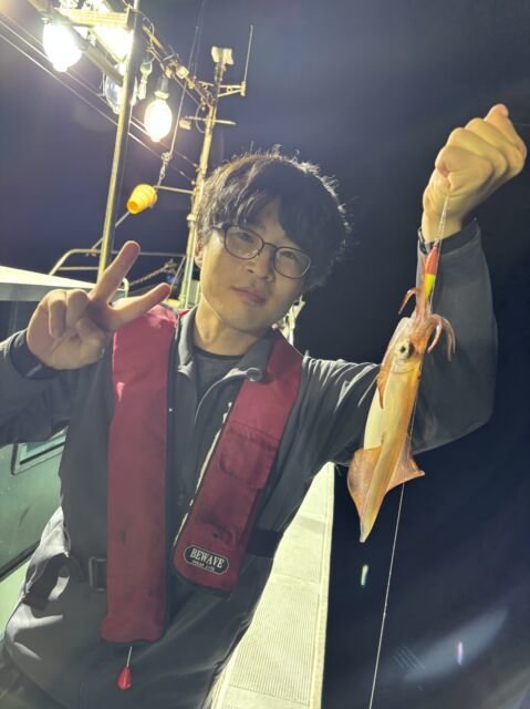 マイカ(ケンサキイカ)