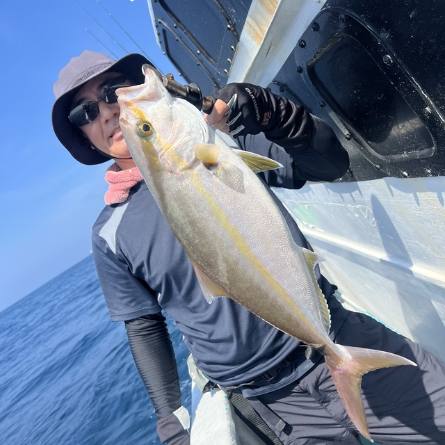 シオ(カンパチ)