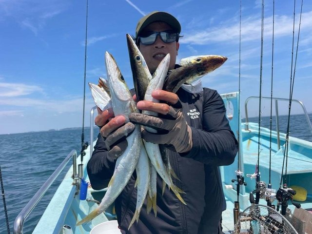 カマス(アカカマス)