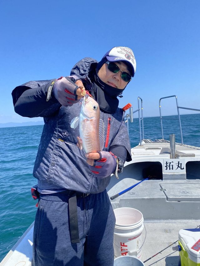 アマダイ(アカアマダイ)