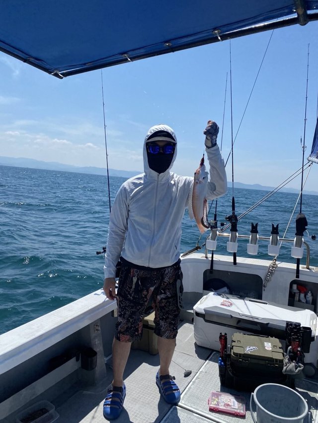 アマダイ(アカアマダイ)