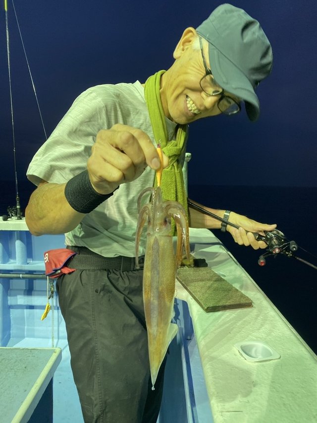 マルイカ(ケンサキイカ)