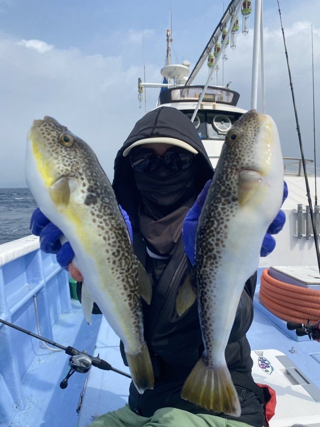 ショウサイフグ