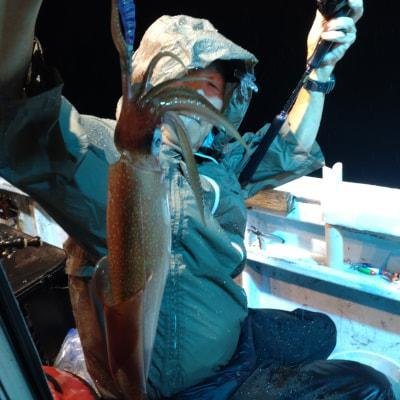 マイカ(ケンサキイカ)